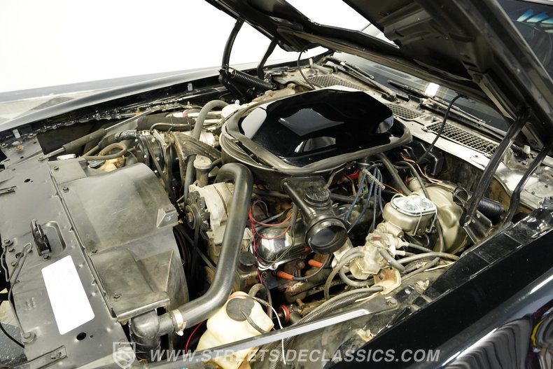 1979 Pontiac Firebird 33