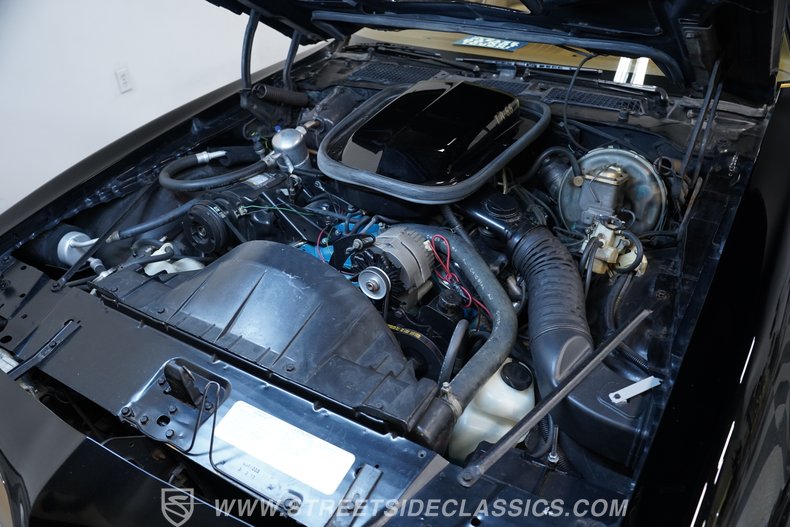 1977 Pontiac Firebird 31
