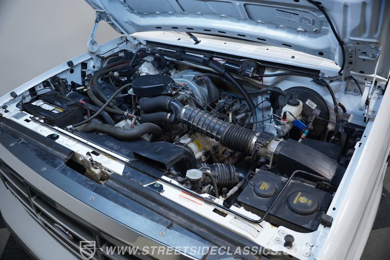 1996 Ford F-150 29