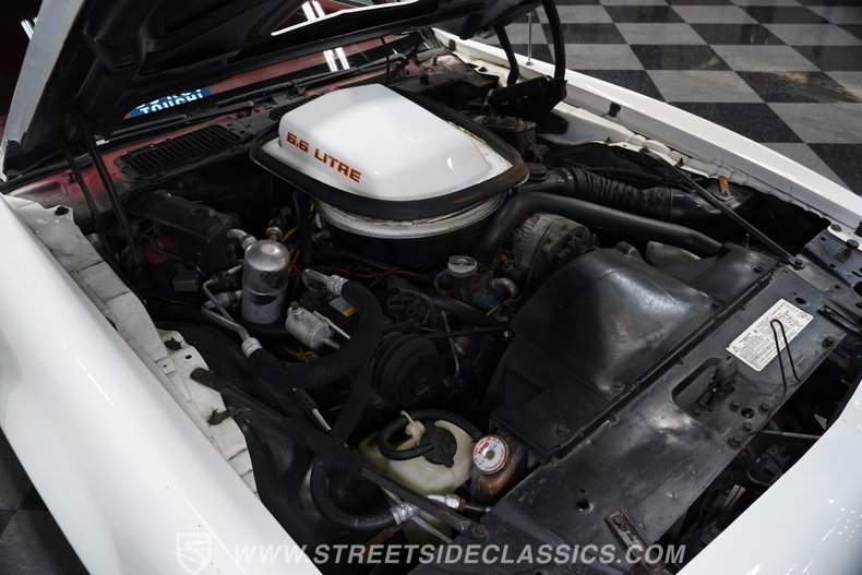 1979 Pontiac Firebird 34
