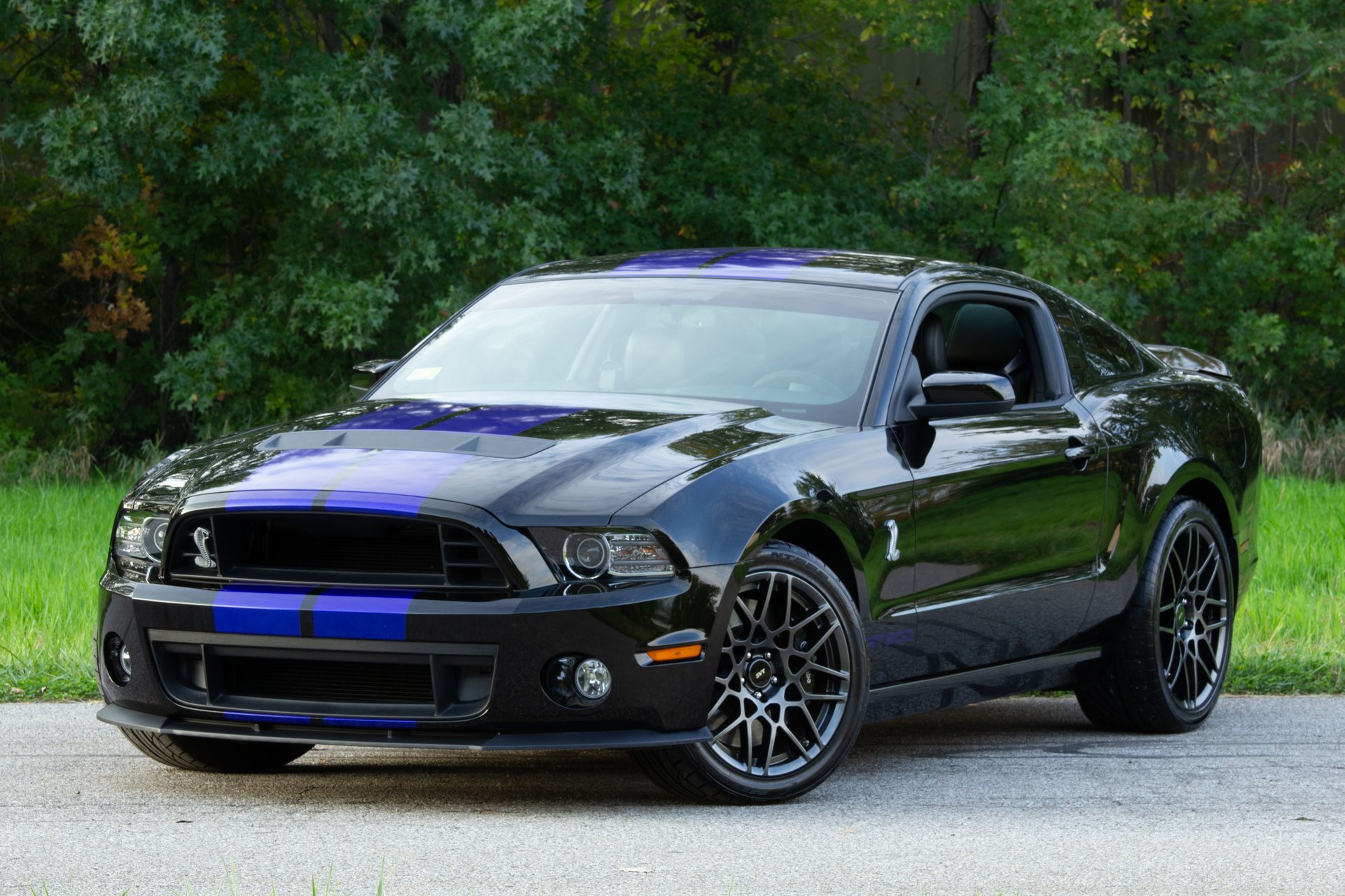 2013 ford shelby gt500