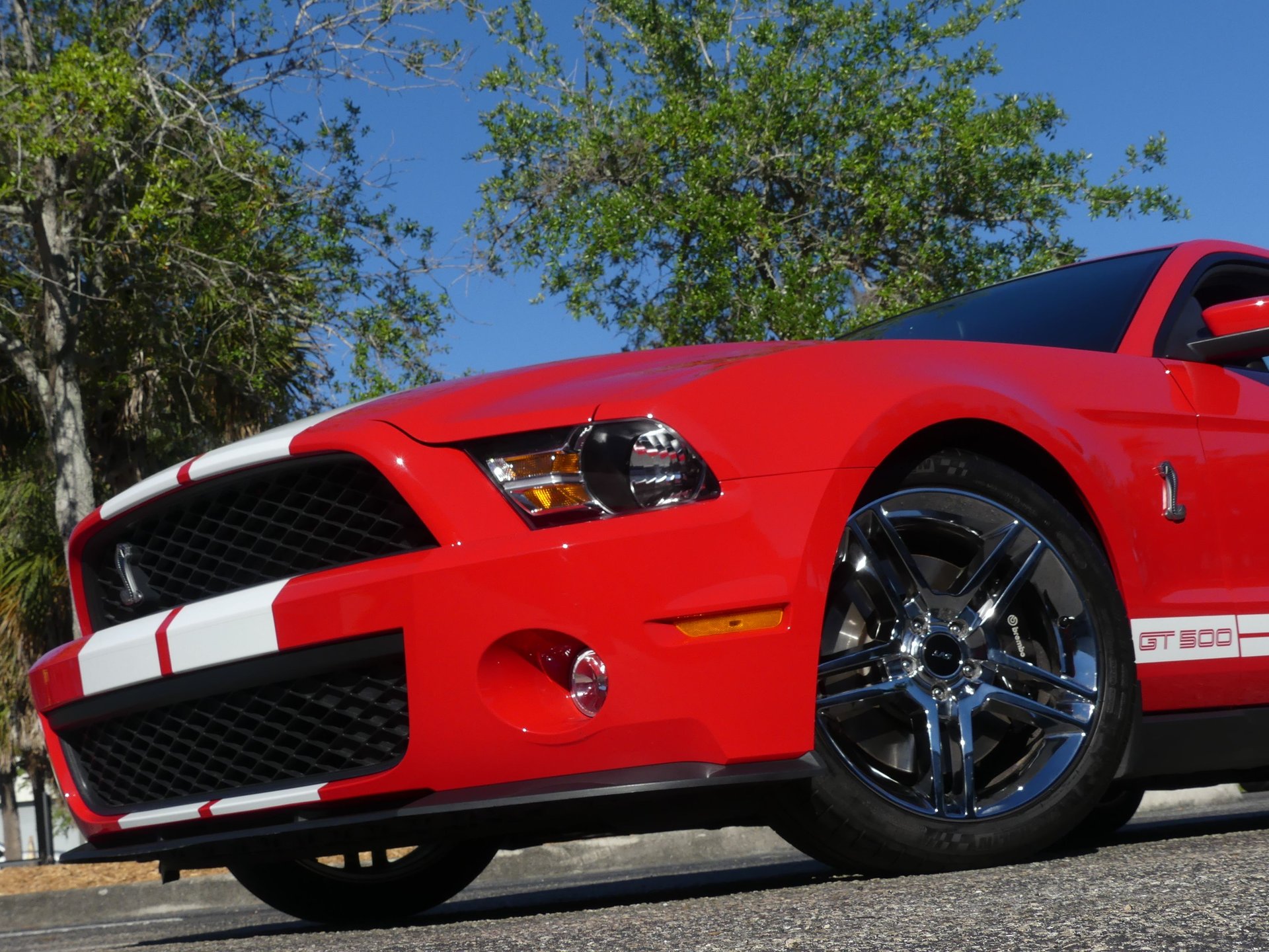 0813-TAMPA | 2010 Ford Shelby Mustang GT500 | Survivor Classic Cars Services