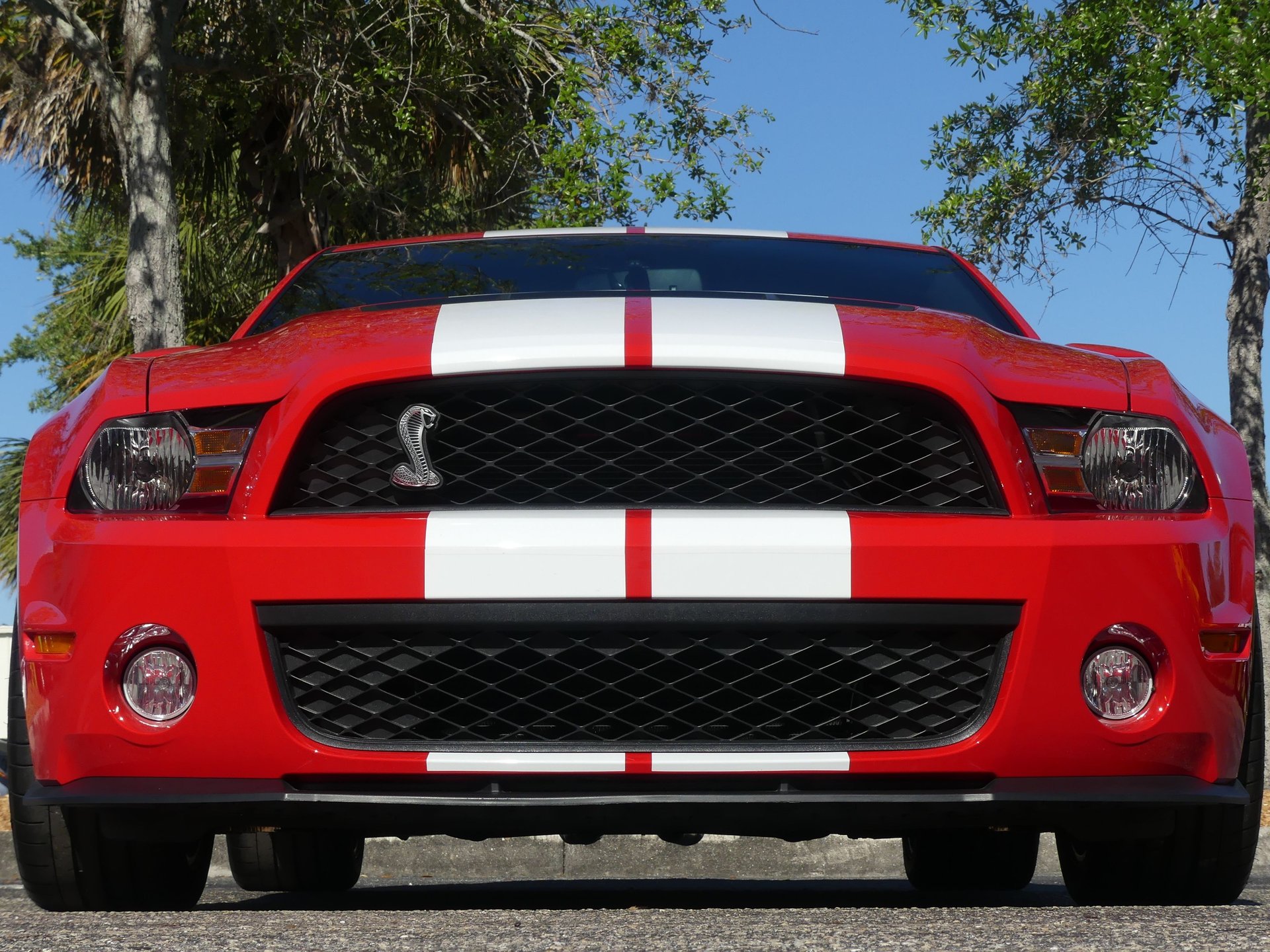 0813-TAMPA | 2010 Ford Shelby Mustang GT500 | Survivor Classic Cars Services