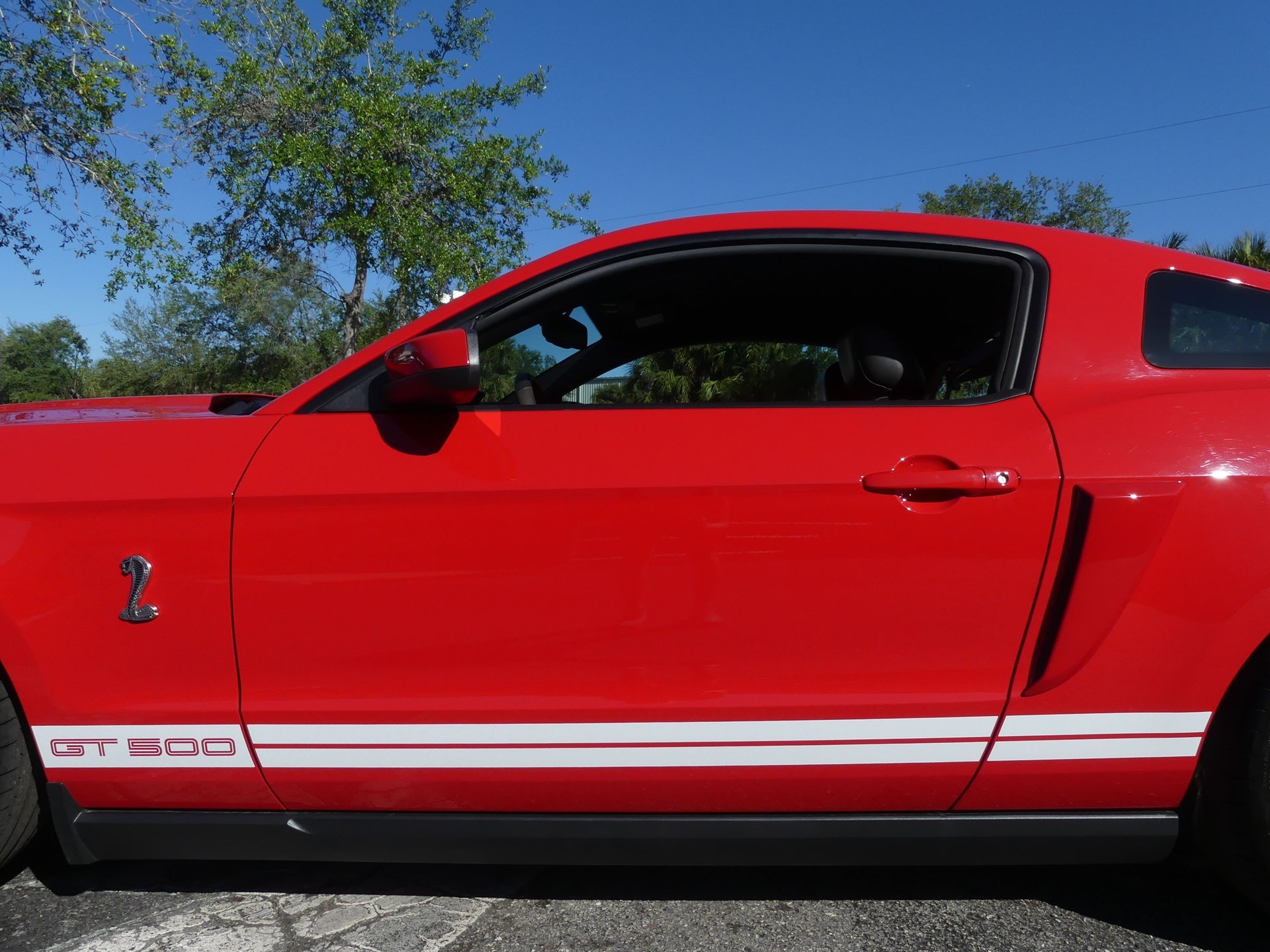 0813-TAMPA | 2010 Ford Shelby Mustang GT500 | Survivor Classic Cars Services