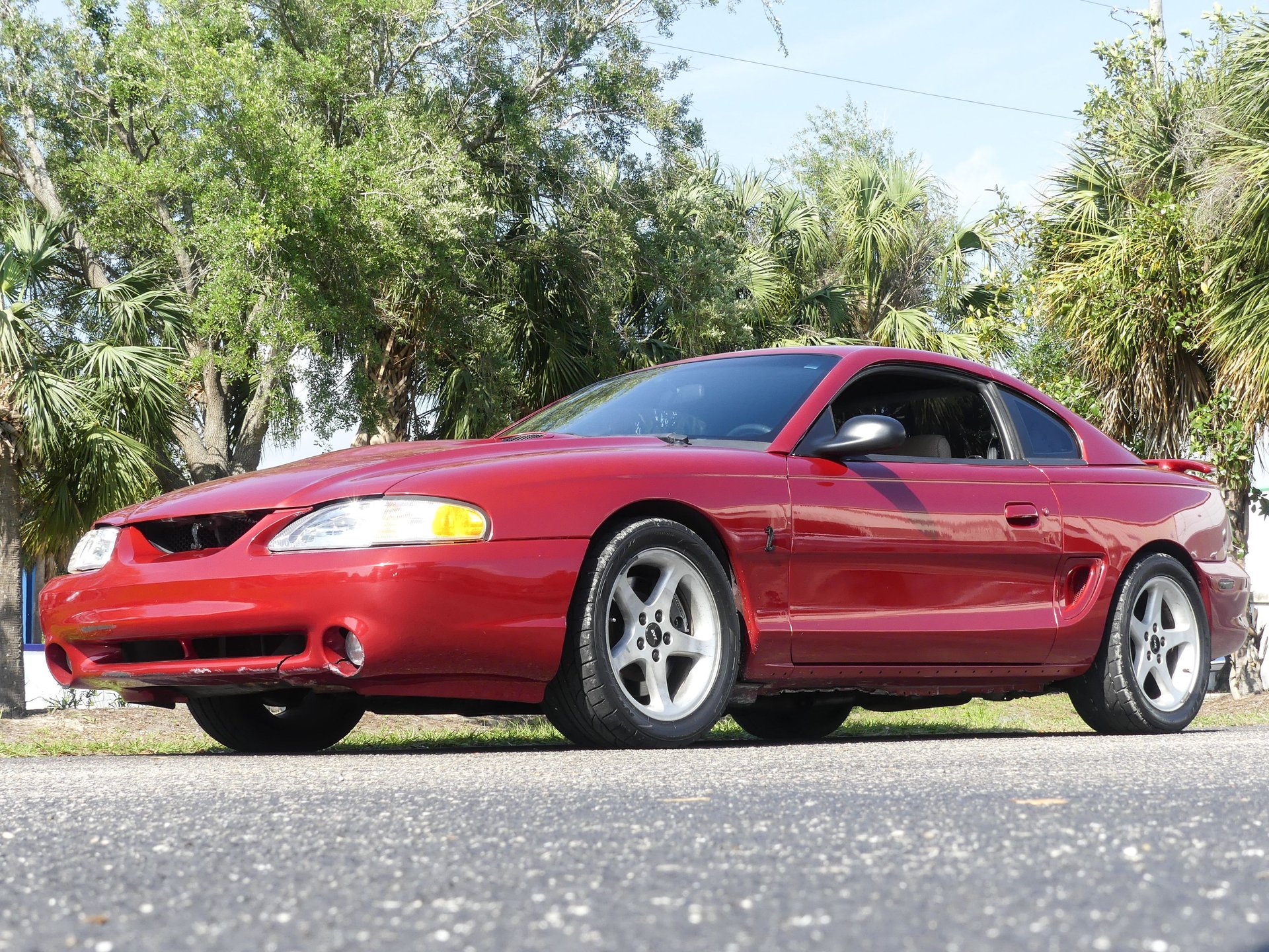 0814-TAMPA | 1996 Ford Mustang SVT Cobra | Survivor Classic Cars Services