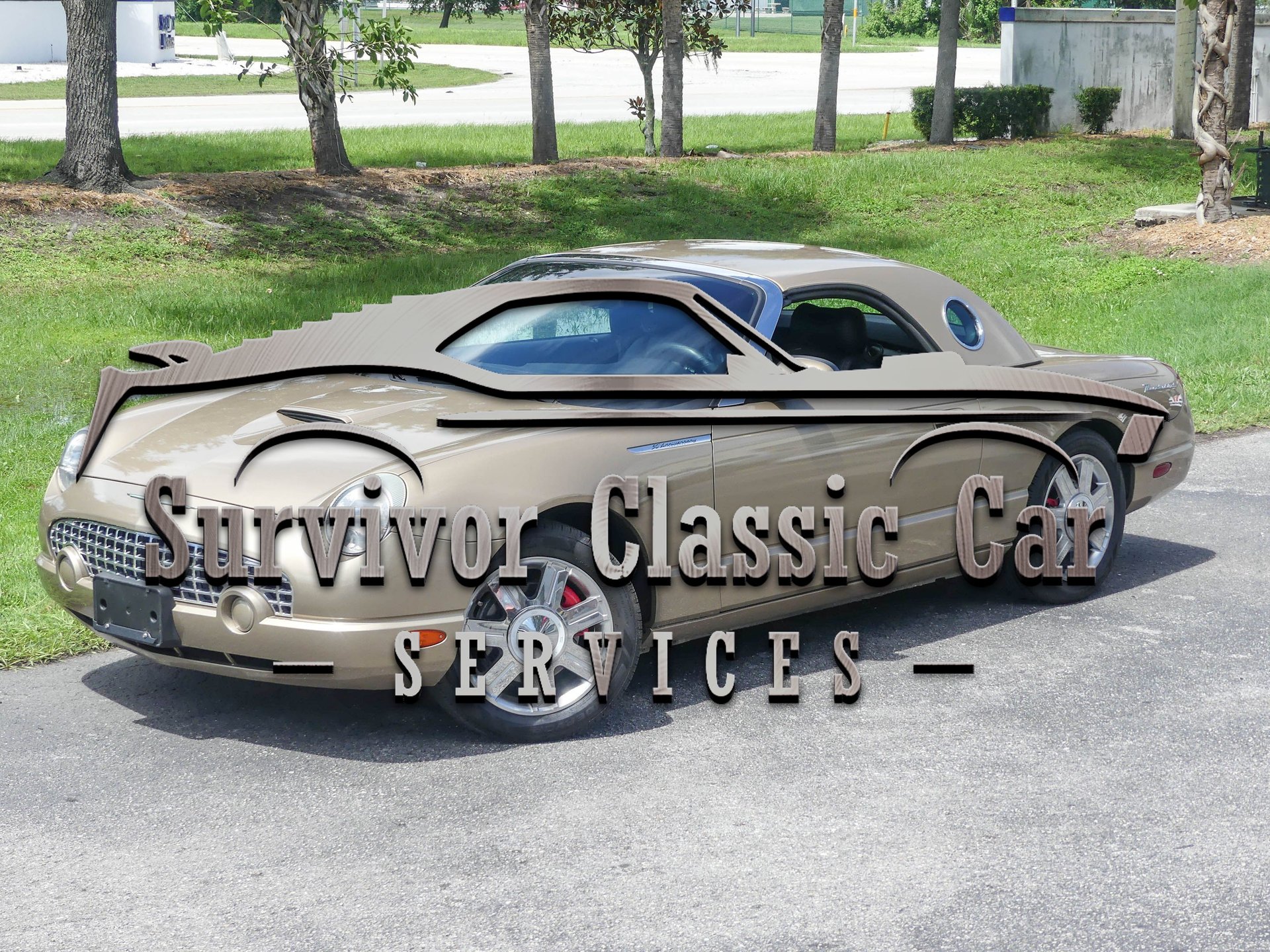 2005 ford thunderbird convertible premium