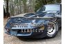 1981 Chevrolet Corvette