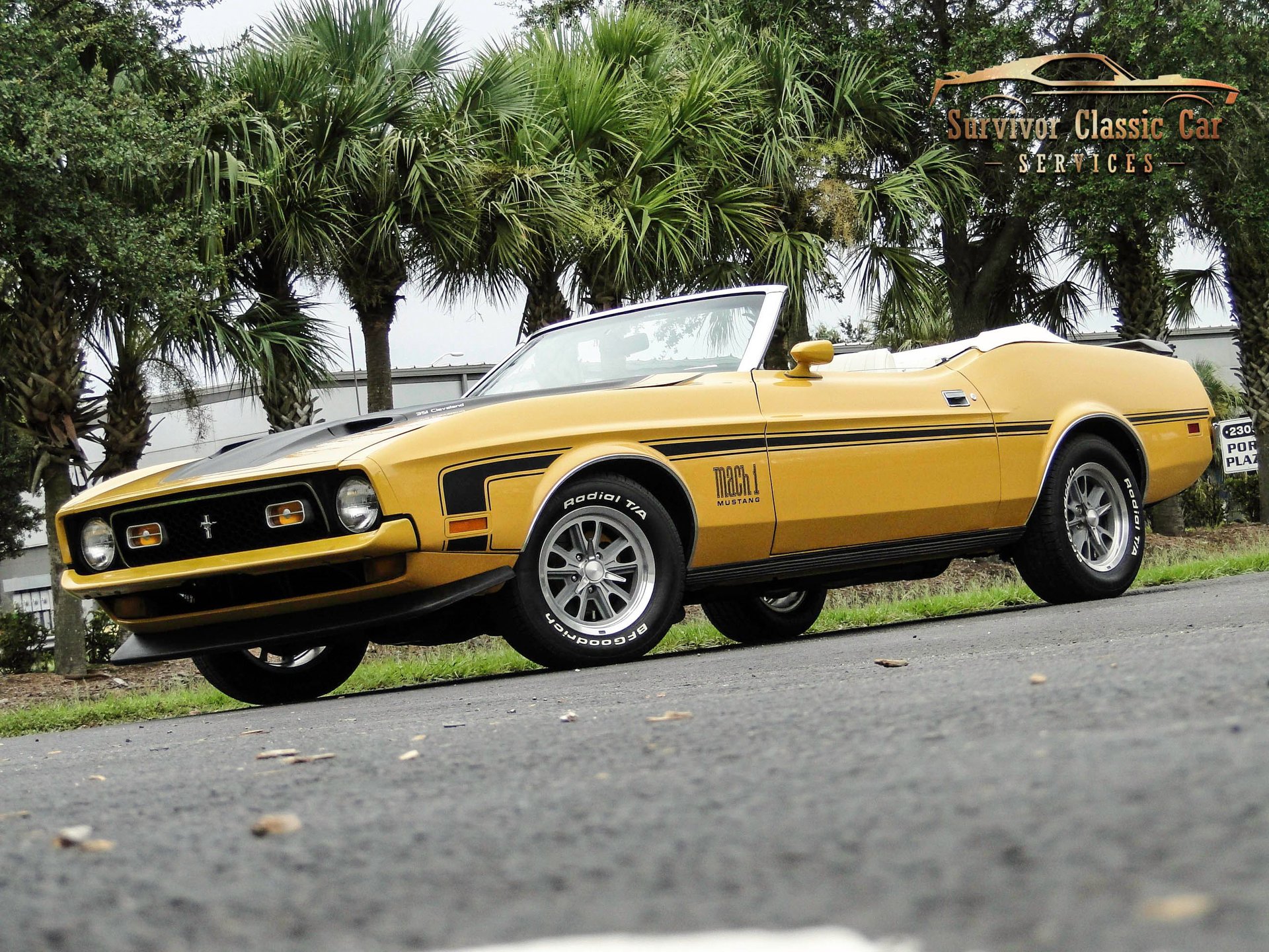 1971 ford mustang mach 1 tribute