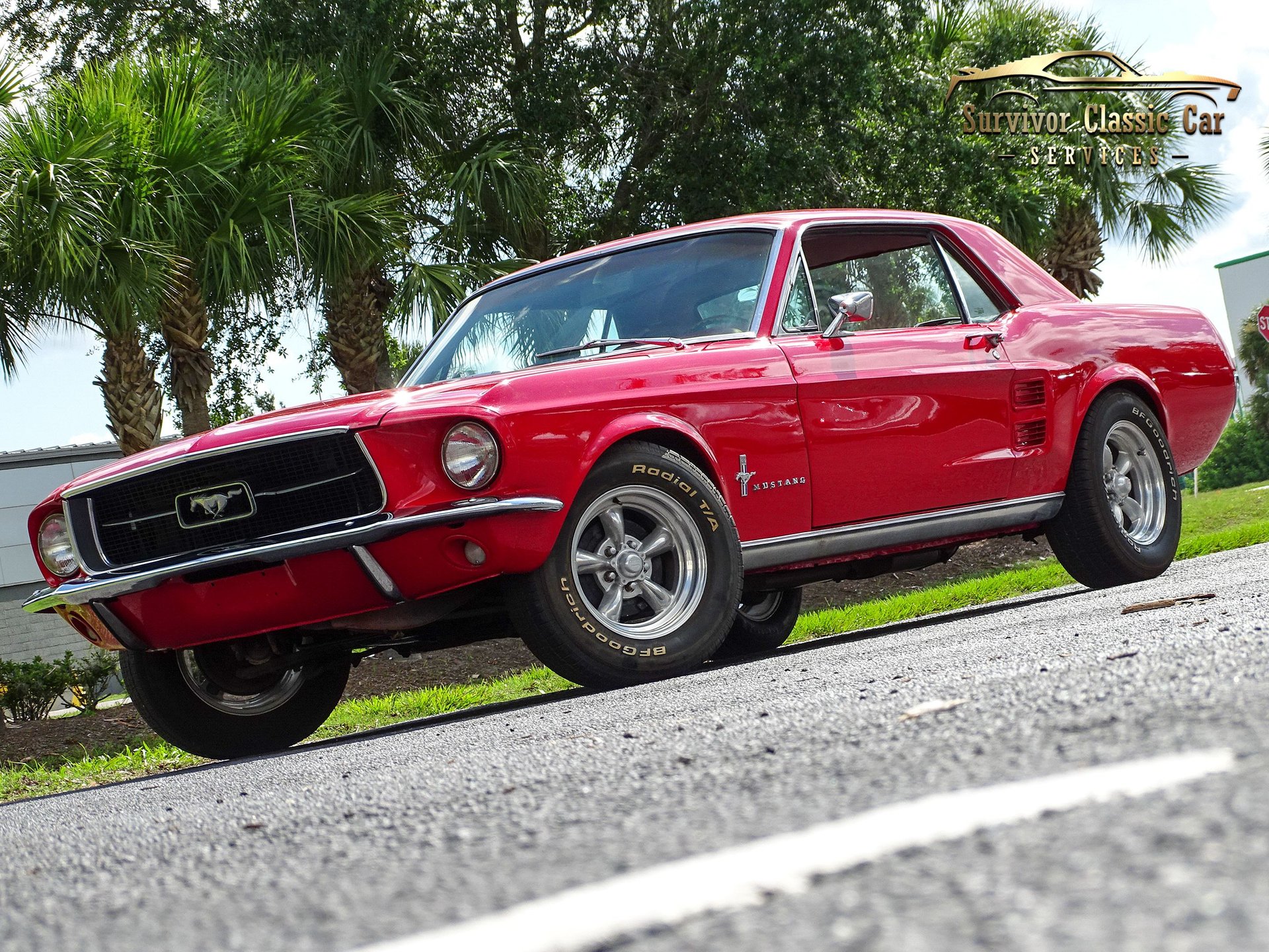 1967 Ford Mustang | Survivor Classic Cars Services