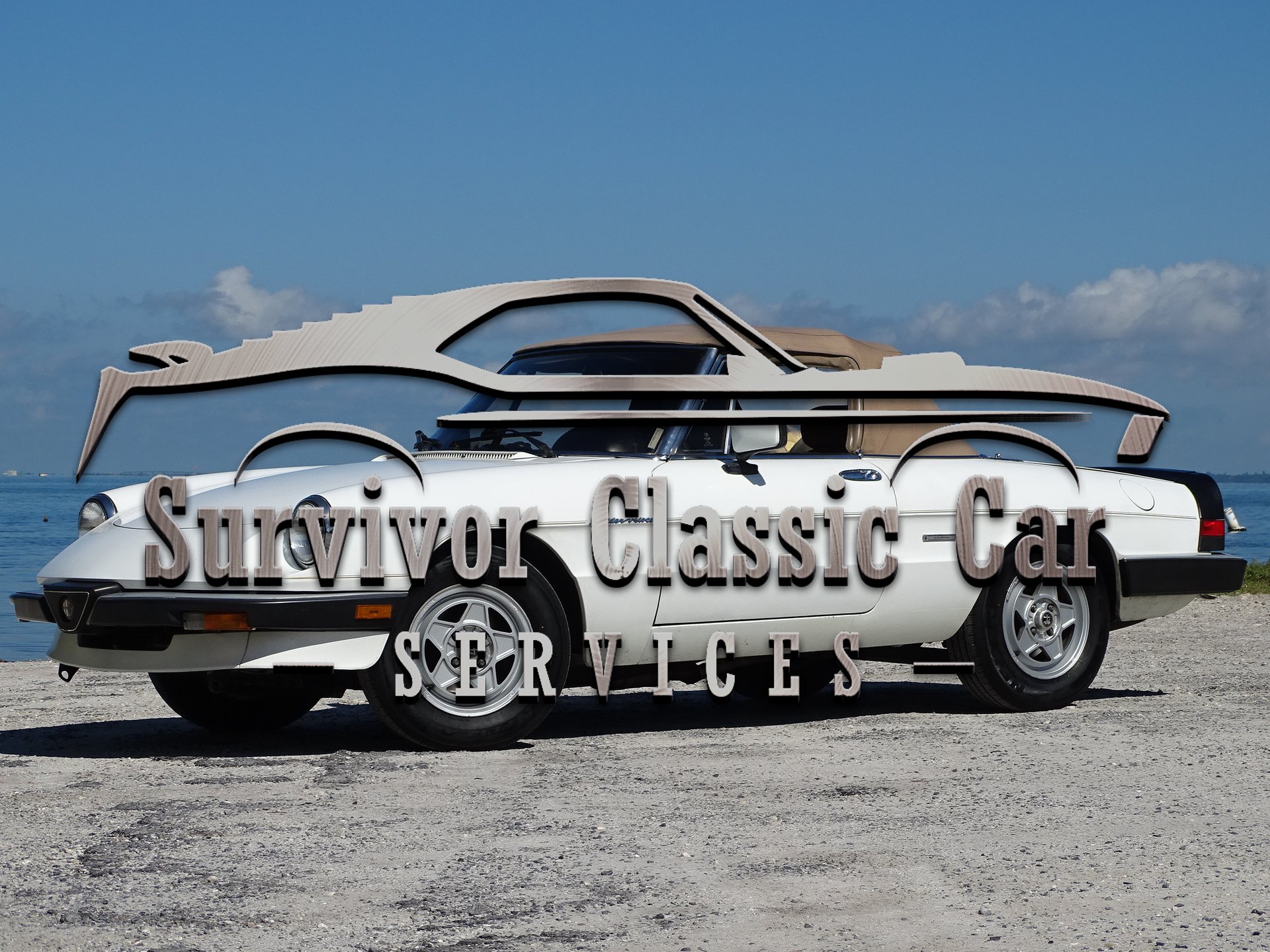 1986 Alfa Romeo Spider | Survivor Classic Cars Services