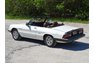 1986 Alfa Romeo Spider