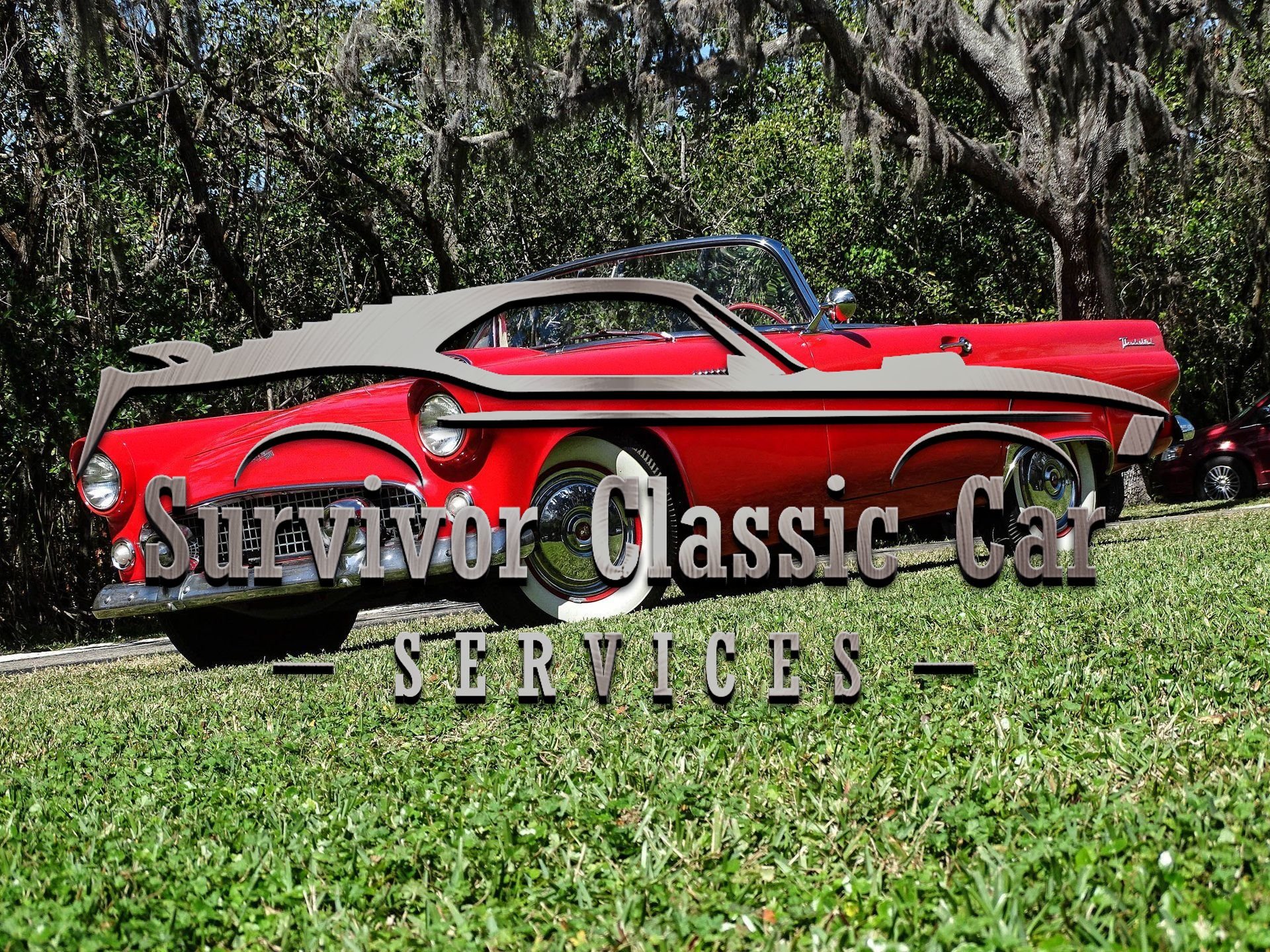ThunderBird ⅰⅤ cw 1955 Ford Thunderbird | Survivor Classic Cars Services