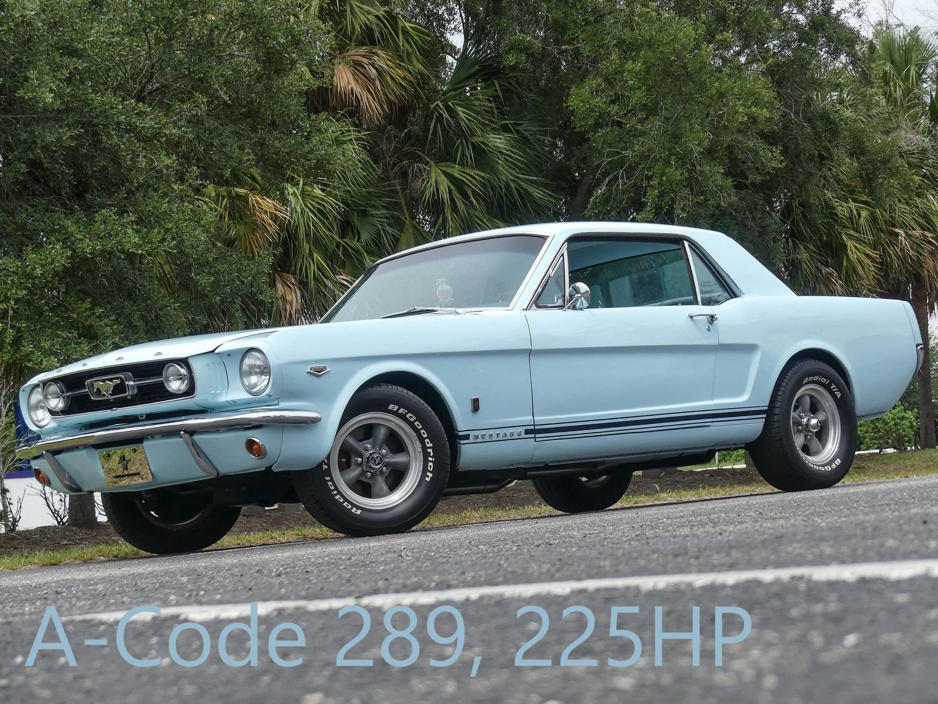 1966 Ford Mustang Survivor Classic