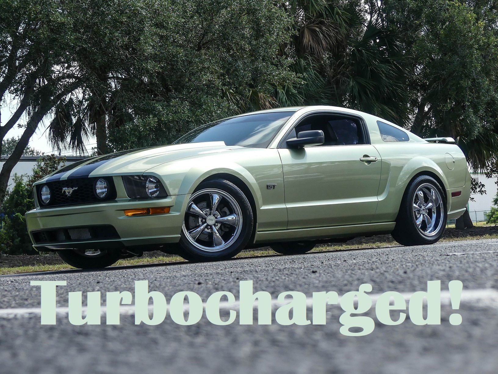 2005 Ford Mustang | Survivor Classic Cars Services