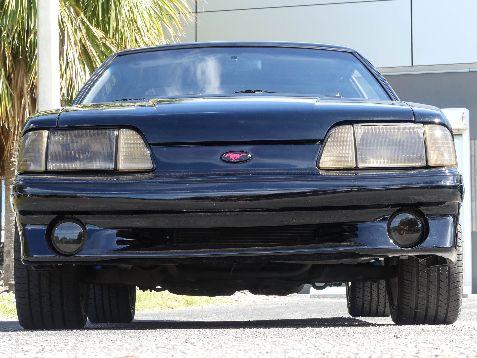 0674-TAMPA | 1988 Ford Mustang GT | Survivor Classic Cars Services