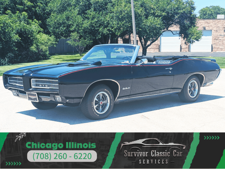 1981 Pontiac Firebird | Survivor Classic Cars Services