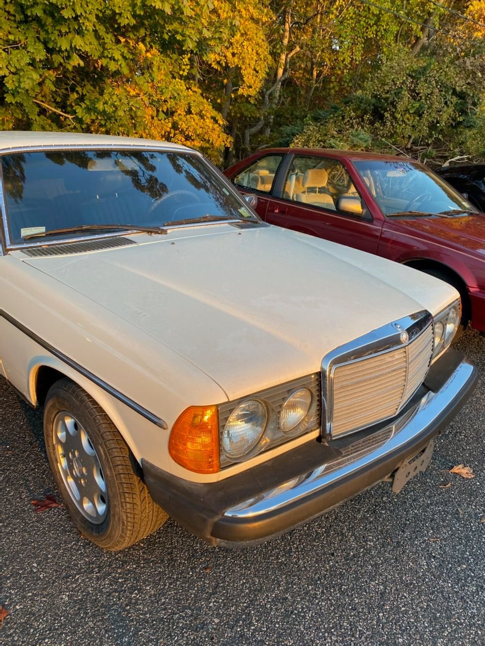 1979 Mercedes-Benz 280CE | Consignify