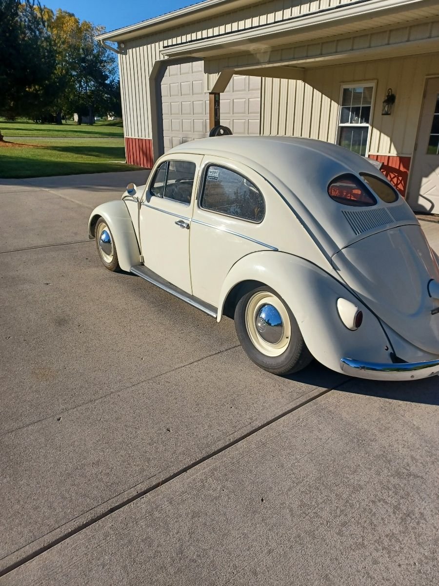 1958 Volkswagen Beetle | Consignify