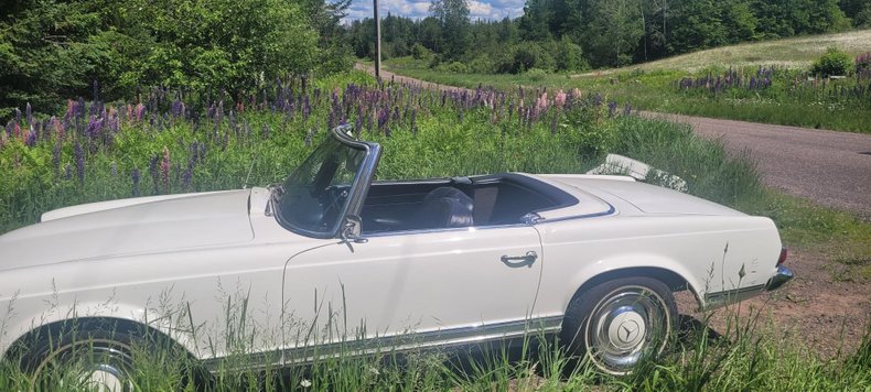 4235 | 1966 Mercedes-Benz 230SL | Vintage Car Collector