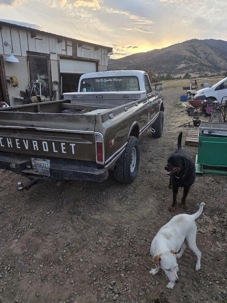 For Sale 1970 Chevrolet 4x4 Pickup