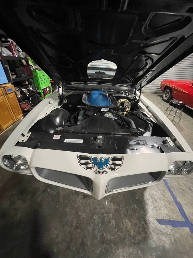 For Sale 1971 Pontiac Trans Am