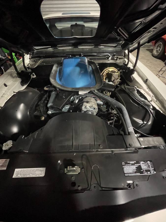 For Sale 1971 Pontiac Trans Am