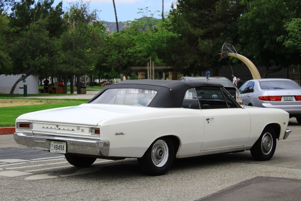 1966 Chevrolet Malibu | Consignify