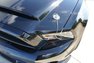 2010 Ford Mustang Shelby GT500