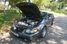 2003 Ford Mustang Cobra