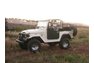 1977 Toyota FJ40 Street & Trail Truck