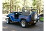 1982 Toyota FJ40 CONVERTIBLE CELEBRATY OWNED