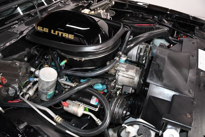 1979 Pontiac Trans Am | Volo Museum