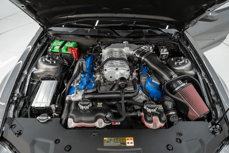 2014 Ford Shelby | Volo Museum