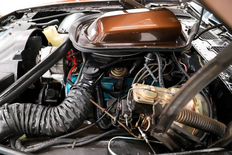 1979 Pontiac Trans Am | Volo Museum