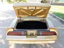 For Sale 1978 Pontiac TRANS AM