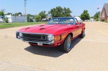 For Sale 1970 Shelby GT500