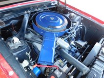 For Sale 1970 Shelby GT500