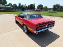 For Sale 1970 Shelby GT500