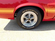 For Sale 1970 Shelby GT500