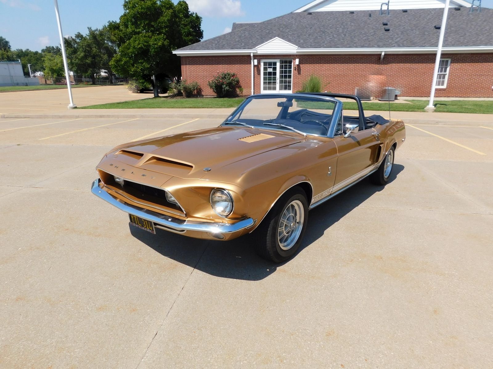 1968 shelby gt350