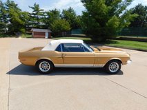 For Sale 1968 Shelby GT350